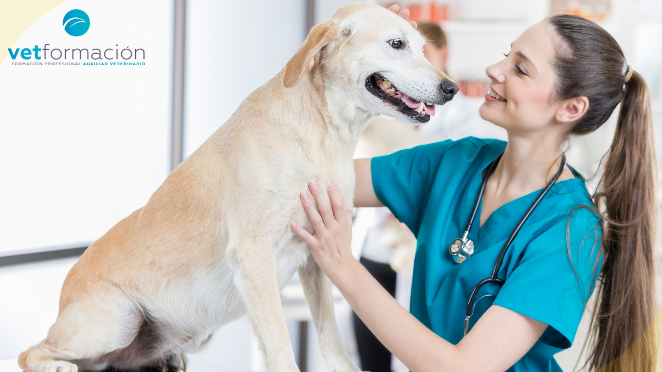 Formación Continua en Veterinaria