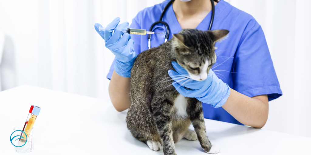 Auxiliar Clínico Veterinario