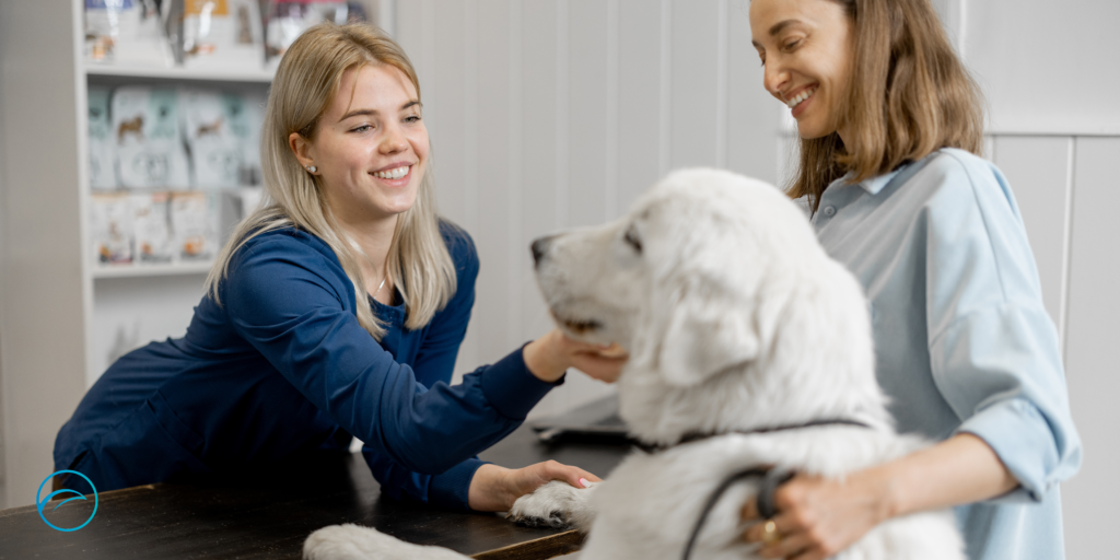 Auxiliar Clínico Veterinario