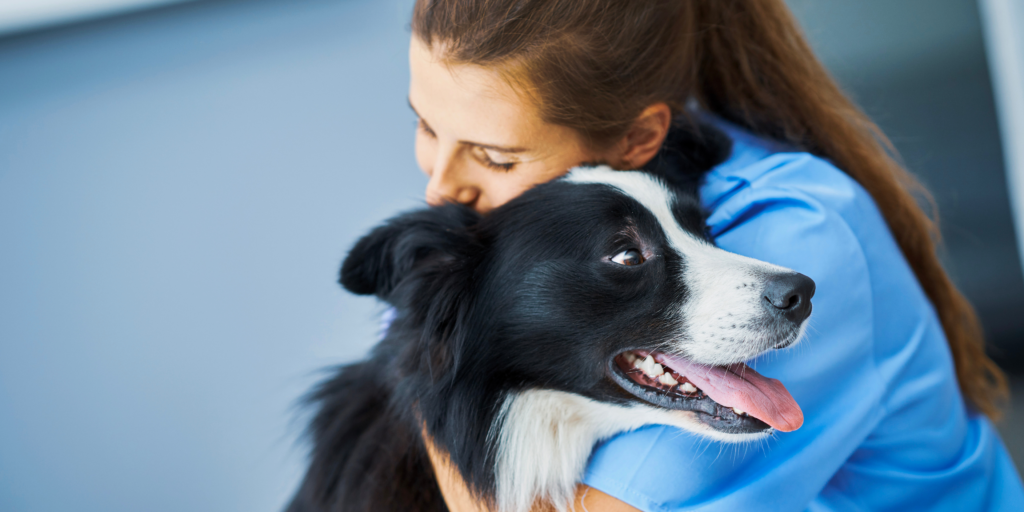 Auxiliar Clínico Veterinario