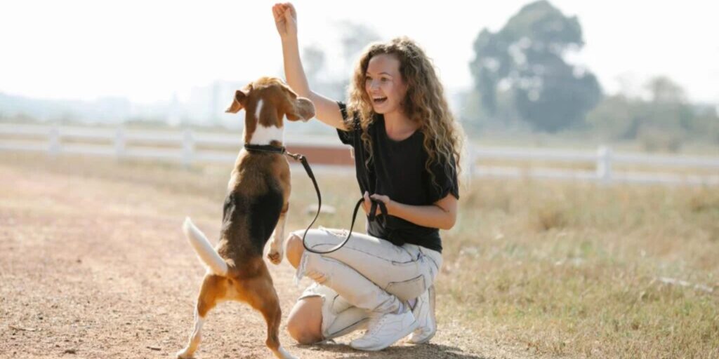 curso de auxiliar de veterinaria